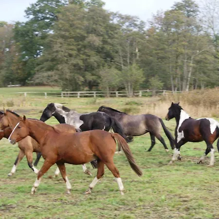 Parkland-haus Dalwitz Walkendorf