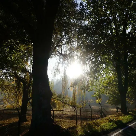 Parkland-haus Dalwitz