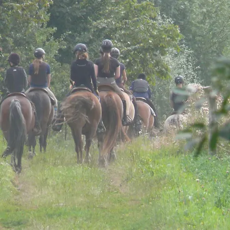 펜션 Parkland-haus Dalwitz *