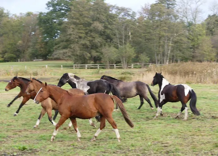 Parkland-haus Dalwitz Walkendorf